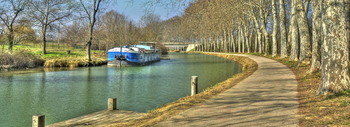 Canal du Midi restaurant poisson