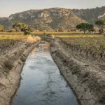 Dans la Clape, un projet de deux bassins de stockage d’eau pour irriguer 45 exploitations viticoles
